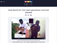 Bild zum Artikel: Gute Nachricht: Vom Dach geworfener Hund hat überlebt