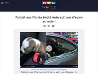 Bild zum Artikel: Polizist aus Florida bricht Auto auf, um Welpen zu retten