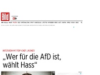 Bild zum Artikel: Interview mit FDP-Chef - „Wer für die AfD ist, wählt Hass“