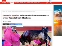 Bild zum Artikel: Drama in Spanien: Stier durchsticht Torero-Herz – erster Todesfall seit 31 Jahren!