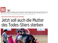 Bild zum Artikel: Nach Matador-Tod - Darum muss die Mutter des Todes-Stiers sterben