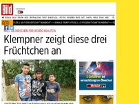 Bild zum Artikel: Kirschen-Klau - Klempner zeigt diese drei Früchtchen an