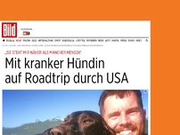 Bild zum Artikel: Bellas letzte Reise - Mit kranker Hündin auf Roadtrip durch die USA