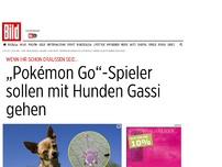 Bild zum Artikel: Tierheim hat geniale Idee - „Pokémon Go“-Spieler sollen Gassi gehen