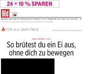 Bild zum Artikel: „Pokémon Go“-Tricks - So brütest du ein Ei aus, ohne dich zu bewegen!