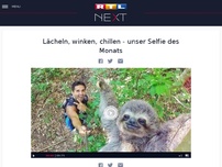 Bild zum Artikel: Lächeln, winken, chillen - unser Selfie des Monats