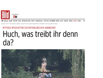 Bild zum Artikel: Im Schatten des Rathaus - Huch, was treibt ihr denn da?