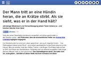 Bild zum Artikel: Der Mann tritt an eine Hündin heran, die an Krätze stirbt. Als sie sieht, was er in der Hand hält?