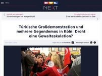 Bild zum Artikel: Großdemonstration  in Köln: 30.000 Erdogan-Anhänger erwartet