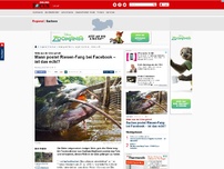 Bild zum Artikel: Wels aus der Elbe geholt - Mann postet Riesen-Fang bei Facebook – ist das echt?