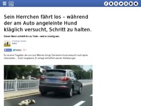 Bild zum Artikel: Sein Herrchen fährt los – während der am Auto angeleinte Hund kläglich versucht, Schritt zu halten.