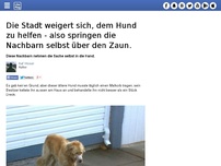 Bild zum Artikel: Die Stadt weigert sich, dem Hund zu helfen - also springen die Nachbarn selbst über den Zaun.