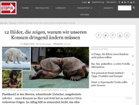 Bild zum Artikel: 12 Bilder, die zeigen, warum wir unseren Konsum dringend ändern müssen