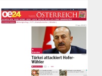 Bild zum Artikel: Türkei attackiert Hofer-Wähler