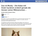 Bild zum Artikel: Das ist Monty – Die Katze mit Down-Syndrom erobert gerade die Herzen seiner Mitmenschen…