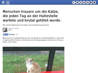 Bild zum Artikel: Menschen trauern um die Katze, die jeden Tag an der Haltestelle wartete und brutal getötet wurde.