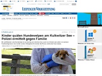Bild zum Artikel: Kinder quälen Hundewelpen am Kulkwitzer See – Polizei ermittelt gegen Familie
