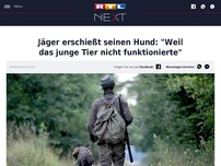 Bild zum Artikel: Jäger erschießt seinen Hund: 'Weil das junge Tier nicht funktionierte'