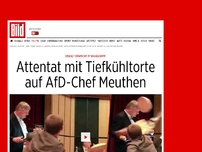 Bild zum Artikel: Eiskalt erwischt - Attentat mit Tiefkühltorte auf AfD-Chef Meuthen