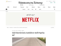 Bild zum Artikel: Statt Warndreieck: Autofahrer stellt Paprika auf