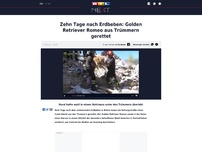 Bild zum Artikel: Zehn Tage nach Erdbeben: Golden Retriever Romeo aus Trümmern gerettet