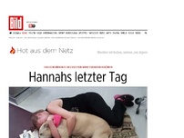 Bild zum Artikel: Letzter gemeinsamer Tag - Frau dokumentiert Abschied von ihrer kranken Hündin