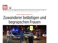 Bild zum Artikel: Mehrere Festnahmen - Zuwanderer begrapschen Frauen bei Stadtfest