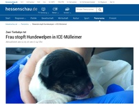 Bild zum Artikel: Reisende stopft Hundewelpen in ICE-Mülleimer