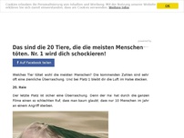 Bild zum Artikel: Das sind die 20 Tiere, die die meisten Menschen töten. Nr. 1 wird dich schockieren!