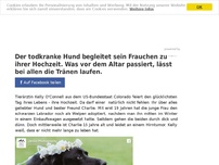 Bild zum Artikel: Tierfreund