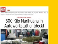 Bild zum Artikel: Zwei Mio. Euro wert - 500 Kilo Marihuana in Autowerkstatt entdeckt