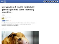 Bild zum Artikel: Sie wurde mit einem Holzscheit geschlagen und sollte lebendig verrotten...