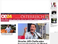 Bild zum Artikel: Strache: AfD-Chefin wäre bessere Kanzlerin als Merkel