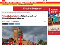 Bild zum Artikel: Tatort Spielplatz: Sex-Täter legt sich auf Zehnjährige und küsst sie