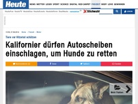 Bild zum Artikel: Tiere vor Hitzetod schützen: Kalifornier dürfen Autoscheiben einschlagen, um Hunde zu retten