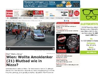 Bild zum Artikel: Amokfahrt mitten in Wien: 21-Jähriger festgenommen