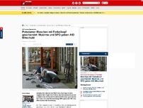 Bild zum Artikel: Religionsschändung in Potsdam - Unbekannte schänden Moschee mit Ferkelkopf: Muslime und SPD geben AfD Mitschuld