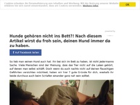 Bild zum Artikel: Hunde gehören nicht ins Bett?! Nach diesem Artikel wirst du froh sein, deinen Hund immer da zu haben.