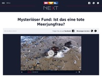 Bild zum Artikel: Mysteriöser Fund: Ist das eine tote Meerjungfrau?