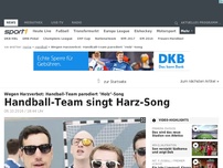 Bild zum Artikel: 'Ich und mein Harz' - Oberligist parodiert 'Holz'-Song
