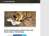 Bild zum Artikel: Rätsel um Bienensterben gelöst? Immer mehr Bienen leiden an Pollenallergie