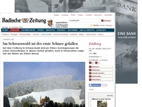 Bild zum Artikel: Der erste Schnee ist im Schwarzwald gefallen
