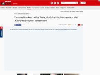 Bild zum Artikel: 'XXL-Knochenbrecher' - 'Nach Sendung als Patienten in Klinik vorgestellt“: Kritik an 'Wunderheiler' Hanken