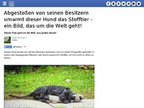 Bild zum Artikel: Abgestoßen von seinen Besitzern umarmt dieser Hund das Stofftier - ein Bild, das um die Welt geht!