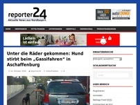 Bild zum Artikel: Unter die Räder gekommen: Hund stirbt beim „Gassifahren“ in Aschaffenburg