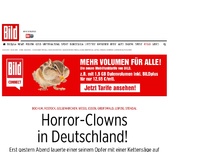 Bild zum Artikel: Grusel-Attacken - Horror-Clown geht mit Kettensäge auf Frau los