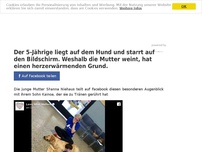 Bild zum Artikel: Der 5-Jährige liegt auf dem Hund und starrt auf den Bildschirm. Weshalb die Mutter weint, hat einen herzerwärmenden Grund.