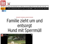 Bild zum Artikel: Er wartete einen Monat lang - Familie zieht um und lässt Hund mit Sperrmüll zurück