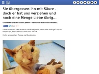 Bild zum Artikel: Sie übergossen ihn mit Säure - doch er hat uns verziehen und noch eine Menge Liebe übrig…