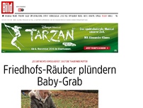 Bild zum Artikel: Armselige Tat - Friedhofs-Räuber plündern Baby-Grab